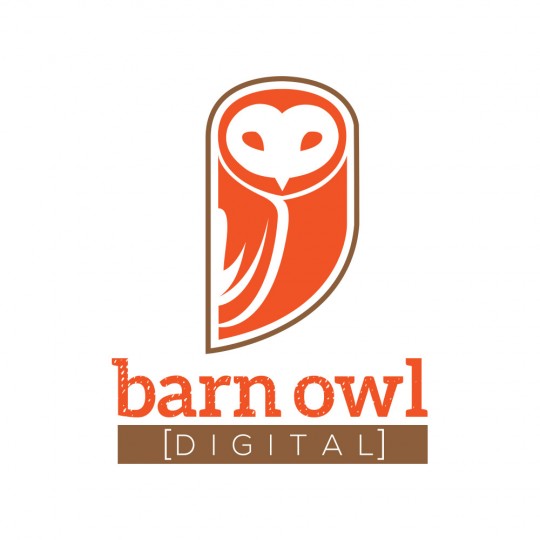 http://tdsgncreative.com/wp-content/uploads/2015/04/Logos_BarnOwl_1000x1000-540x540.jpg